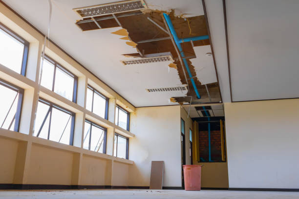 Trusted Vienna Bend, LA Water damage restoration Experts